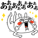 激しく動く！顔芸うさぎ13 興奮ver