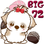 シーズー犬 72『バレンタイン＆♥』