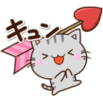 ちびアメ✨好きな人へ