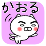 かおるちゃんねこ