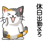 猫大好き！その35（仕事用）