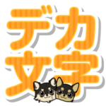 チワワのCOCOとLOUIS