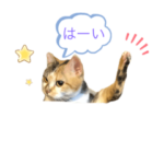 ねこだけどすずめ