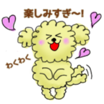 カラフル綿がしのトイプー