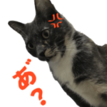 にゃんごすたんぷ