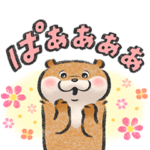  可愛い嘘のカワウソ×Tポイント