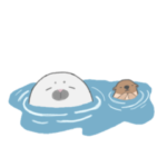 アザラシのヘム。