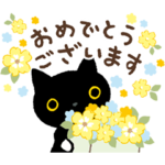 靴下にゃんこ 大人かわいい敬語スタンプ