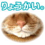 リアルにゃんこ！みかげ & チャー 2