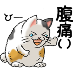 猫大好き！その23 三毛猫3