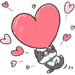  ついに登場！ヤマ崎コテツ（猫）