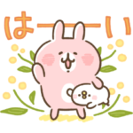  N organic×カナヘイの小動物