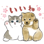  しば×にゃん & LINEスコア