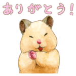 ハムスター助六の日常4 