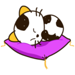 うちのタマ知りませんか？