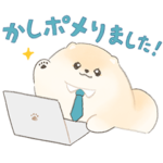  ふわふわポメのぽぽち