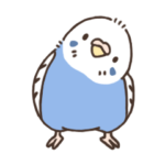 セキセイインコのチャッピー