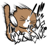 鴻池剛と猫のぽんた