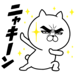  目ヂカラ☆にゃんこ × LINE FX