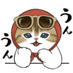  おめかしにゃん × スタッフィ