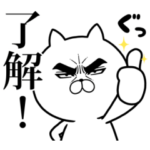  デサント×目ヂカラ☆にゃんこ特別セット