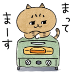  ミィちゃんとクロちゃん×アラジン