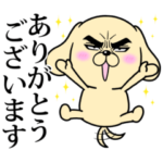  目ヂカラ☆わんこ × タイヤ館