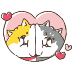  しばんばん × マナラ