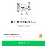  目ヂカラ☆にゃんこのダウンロード方法：徹底解説