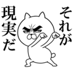  目ヂカラ☆にゃんこ