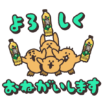  背景が動く！「アサヒ 颯」×ラッコズ