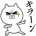  目ヂカラ☆にゃんこ×タイヤ館