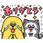  まめきちまめこ×ミュゼプラチナム