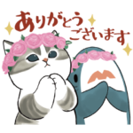  サメにゃん × 高島屋オンラインストア