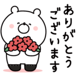  ガーリーくまさん×ココピタあったか実感