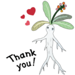  ロエベ×スナ・フジタ