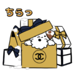  シャネル ワンダーランドへようこそ