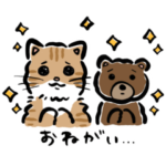  お買い物ねことゆるい熊×ストライプクラブ