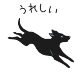  ボッテガ・ヴェネタ Summer 24