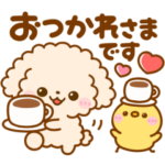  毎日つかえる♪春日和♡トイプー