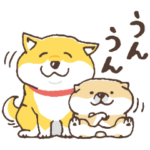  しばんばん×コレイヨ