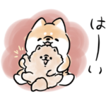  毎日使える♪ほんわかしばいぬ×リナビス