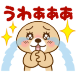  突撃！ラッコさん×ヤフージャパン