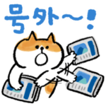  ごろごろにゃんすけ×Yahoo!ニュース