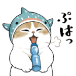  サメにゃん × LINE NEWS