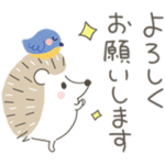  動く！はりねずみさん×ドモホルンリンクル