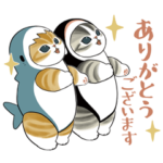  サメにゃん × Yahoo!ニュース