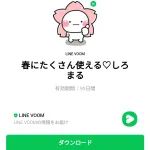  春にたくさん使える♡しろまるのダウンロード方法：徹底解説