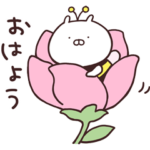  うさまる × LINE NEWS